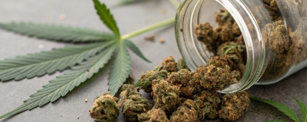 cbd flower buds spilling out a clear jar with hemp leaves on the surface