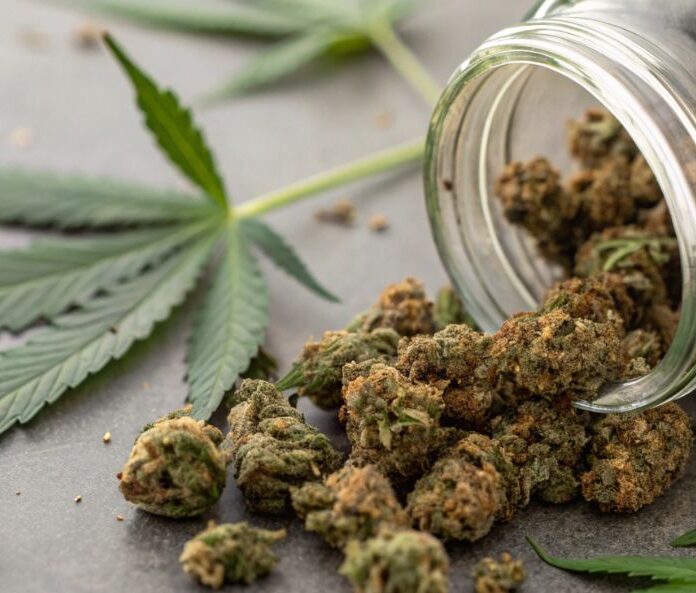 cbd flower buds spilling out a clear jar with hemp leaves on the surface