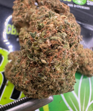 OG Kush light deprivated CBD Strain in the UK