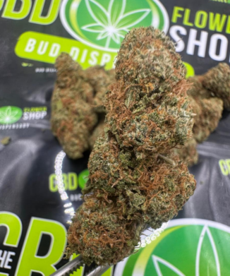 Alien OG CBD Strain in the UK