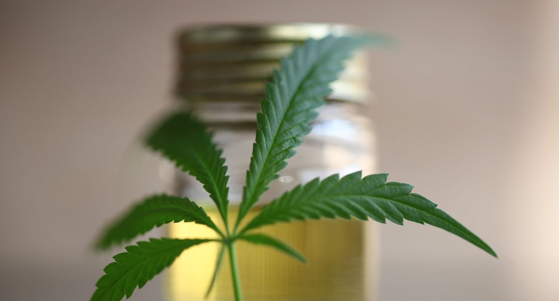 hemp leaf in front of out of focus pot of cbd oil in the background