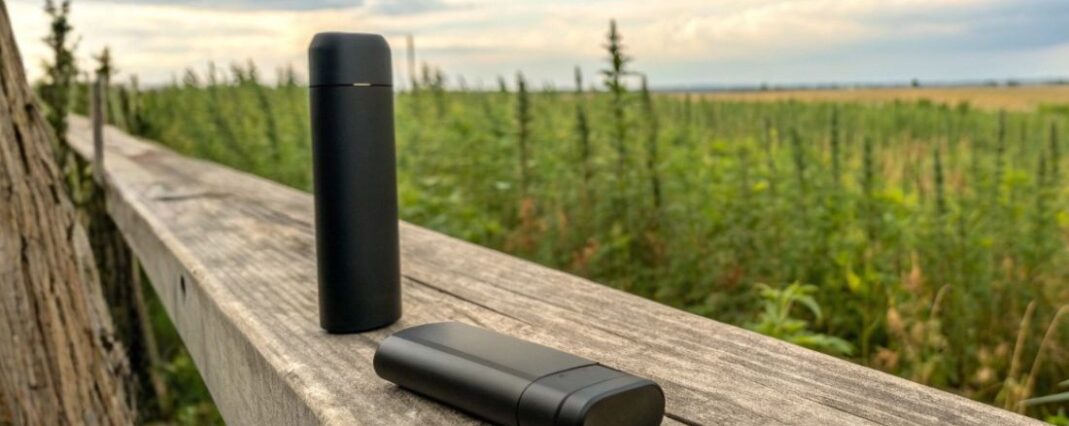 vape pods on a wooden fence in a hemp field