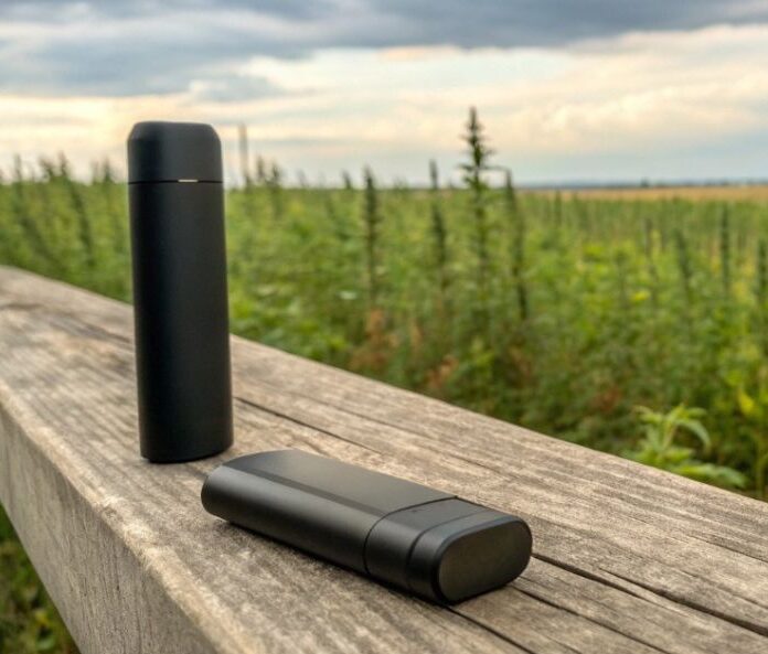 vape pods on a wooden fence in a hemp field