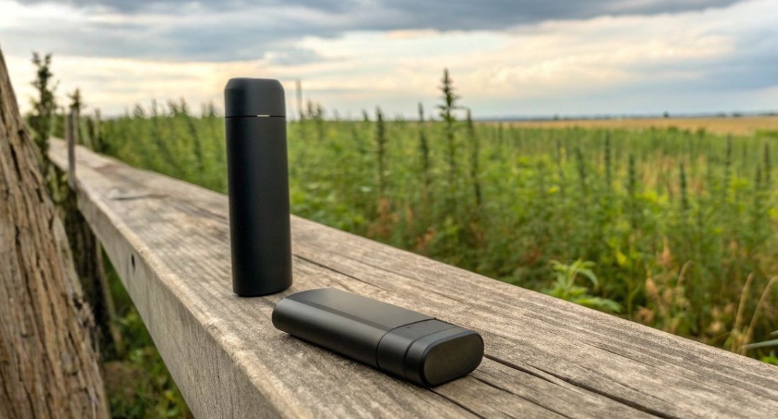 vape pods on a wooden fence in a hemp field