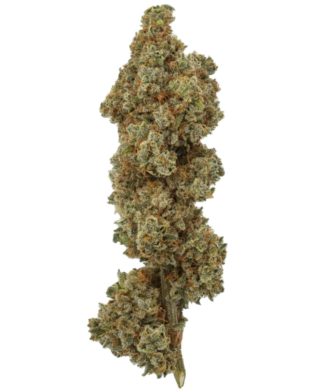 Miracle Lemon Cookies USA Grown CBD Buds