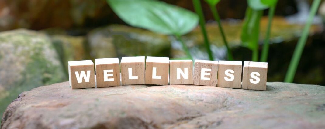 wellness spelled out on wooden letter blocks on top of a rock in front of a plant outside