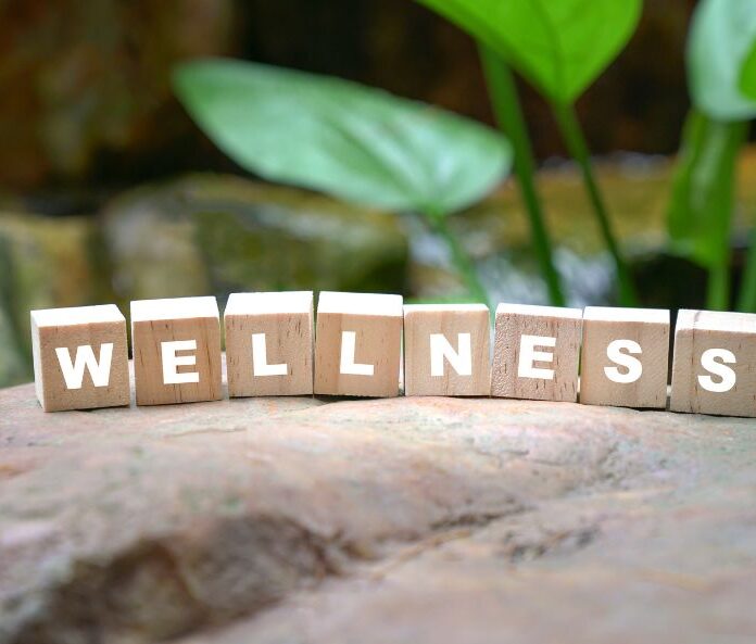wellness spelled out on wooden letter blocks on top of a rock in front of a plant outside