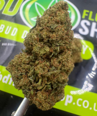 CBD Bud