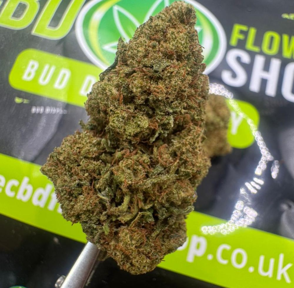 CBD Bud
