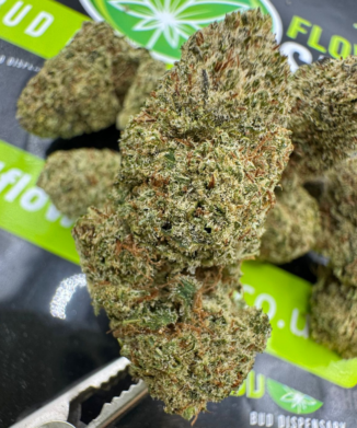 Jet Fuel Gelato CBD Flowers
