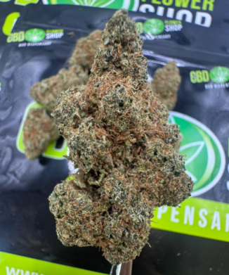 Biscotti USA Grown CBD Tea Flower