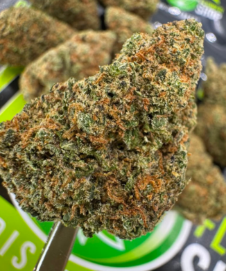 Cheese Candy CBD Tea Flower