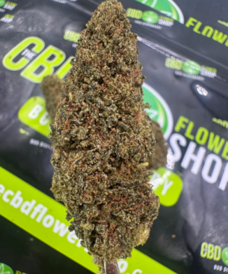 Grapefruit USA Grown Flowers