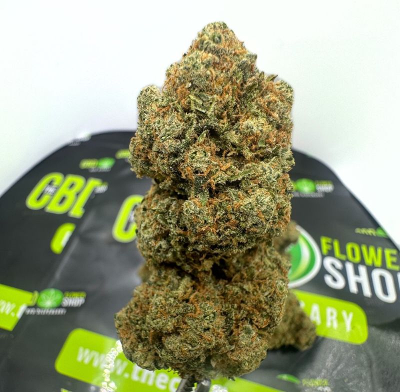 amnesia cbd flower bud