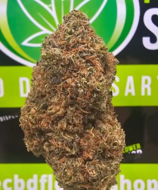 Gas Truffle CBD tea flower featuring dense, resin-rich green flowers with orange pistils and heavy trichome coverage, available from The CBD Flower Shop.