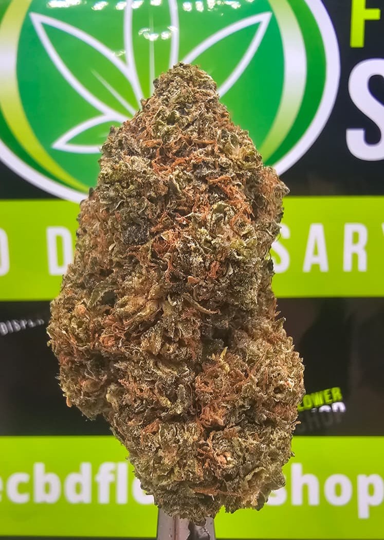 Gas Truffle CBD tea flower featuring dense, resin-rich green flowers with orange pistils and heavy trichome coverage, available from The CBD Flower Shop.