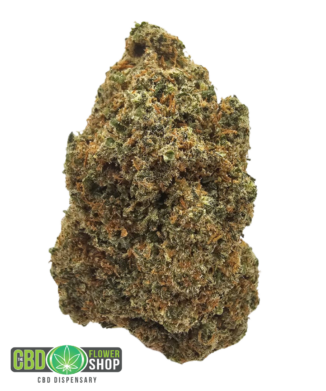 Lemon Tangie indoor CBD tea flower with dense trichome-rich green flowers and vibrant orange pistils from The CBD Flower Shop.