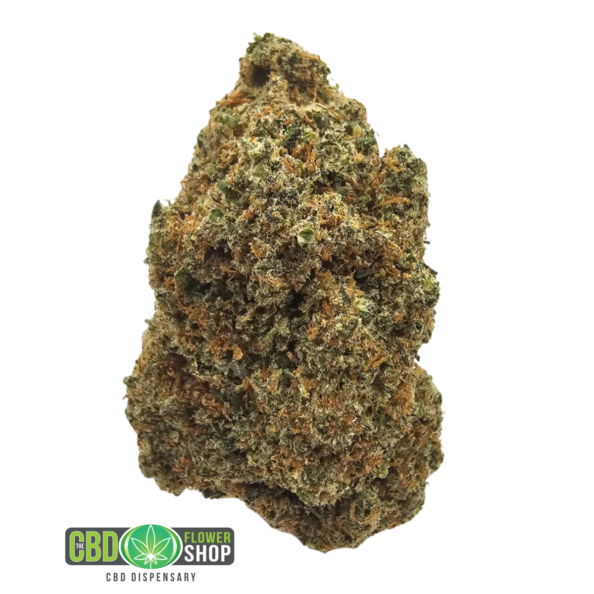 Lemon Tangie indoor CBD tea flower with dense trichome-rich green flowers and vibrant orange pistils from The CBD Flower Shop.
