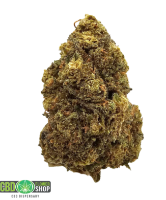 Strawberry Banana greenhouse CBD tea flower with frosted, resin-rich green buds and orange pistils from The CBD Flower Shop.