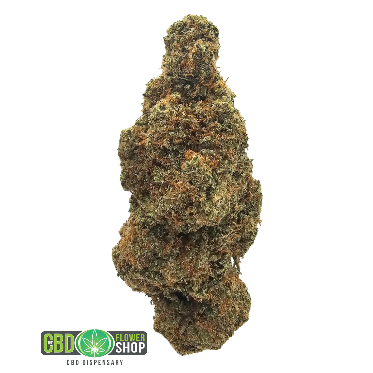 Lemon Tangie indoor CBD tea flower with dense trichome-rich green flowers and vibrant orange pistils from The CBD Flower Shop.