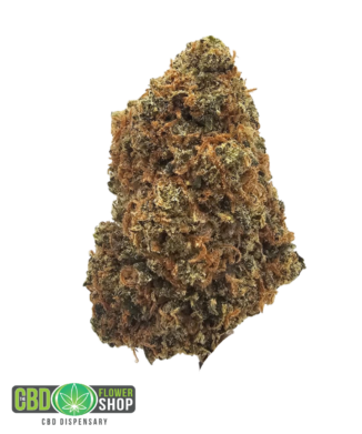 Blueberry Pancakes indoor CBD tea flower featuring dense frosted green flowers with orange pistils and prominent trichome coverage from The CBD Flower Shop.