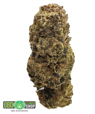 Creamsicle Limited Edition indoor CBD tea flower featuring dense frosted green flowers with orange pistils and prominent trichome coverage from The CBD Flower Shop.