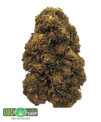 Strawberry Pop CBD Tea Flower | Greenhouse CBD Flower