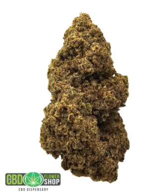 Sugar Candy greenhouse CBD tea flower with frosted green flowers, vibrant orange pistils and visible trichome coverage from The CBD Flower Shop.
