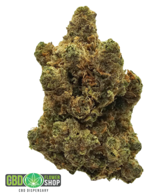 Amnesia indoor CBD tea flower from The CBD Flower Shop, a premium whole hemp flower variety with a zesty lemon, herbal and earthy aromatic profile.