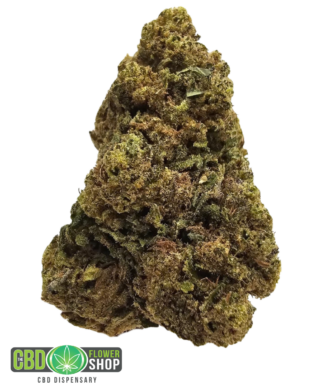 Cinnamon Toast greenhouse CBD tea flower from The CBD Flower Shop, a whole hemp flower variety with a sweet cinnamon and toasted bakery-inspired aromatic profile.