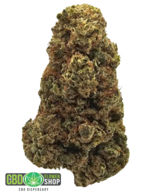 Zuper Bubblegum indoor CBD tea flower from The CBD Flower Shop, a premium whole hemp flower variety with a sweet bubblegum and pungent gas aromatic profile.