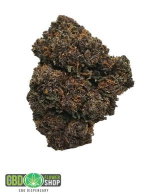 Purple Funk CBD Tea Flower UK