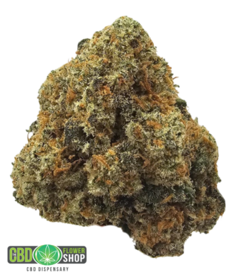Ghost Train Haze indoor CBD tea flower from The CBD Flower Shop, a premium whole hemp flower variety with a lemon, pine and herbal Haze-inspired aromatic profile.