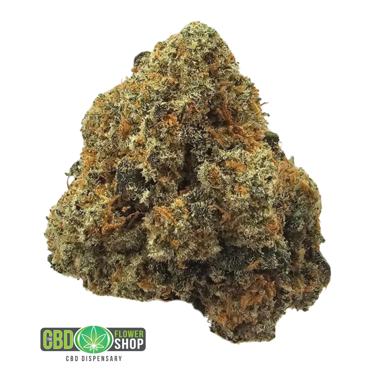 Ghost Train Haze indoor CBD tea flower from The CBD Flower Shop, a premium whole hemp flower variety with a lemon, pine and herbal Haze-inspired aromatic profile.