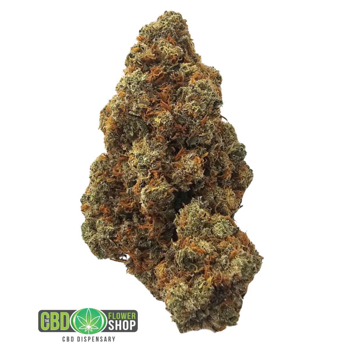 Ghost Train Haze indoor CBD tea flower from The CBD Flower Shop, a premium whole hemp flower variety with a lemon, pine and herbal Haze-inspired aromatic profile.